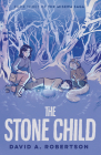 The Stone Child: The Misewa Saga, Book Three By David A. Robertson Cover Image