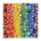 Rainbow Marbles 500 Piece Puzzle By Galison, Julie Seabrook Ream (By (photographer)) Cover Image
