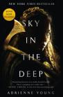 Sky in the Deep (Sky and Sea #1) By Adrienne Young Cover Image