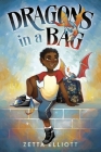 Dragons in a Bag By Zetta Elliott, Geneva B (Illustrator) Cover Image