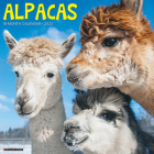 Alpacas 2023 Wall Calendar By Willow Creek Press Cover Image
