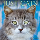 Just Cats 2023 Wall Calendar By Willow Creek Press Cover Image