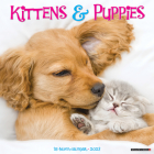 Kittens & Puppies 2023 Wall Calendar By Willow Creek Press Cover Image
