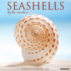 Seashells 2023 Wall Calendar By Willow Creek Press Cover Image