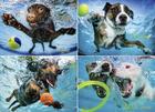 Underwater Dogs 2 1000-Piece Puzzle By Seth Casteel (Created by) Cover Image