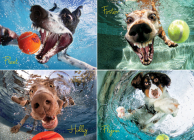 Underwater Dogs: Play Ball 1000-Piece Puzzle By Seth Casteel (Created by) Cover Image