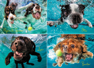 Underwater Dogs: Ruff Water 1000-Piece Puzzle By Seth Casteel (Photographer) Cover Image