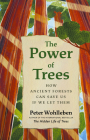 The Power of Trees: How Ancient Forests Can Save Us If We Let Them By Peter Wohlleben, Jane Billinghurst (Editor), Jane Billinghurst (Translator) Cover Image